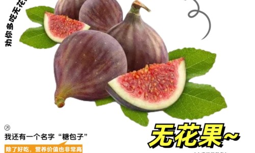 喂奶越久乳房越松弛吗-哺乳期后胸会变小吗专区_长期哺乳后胸部会变小吗专区_哺乳期太久乳房会变小吗网